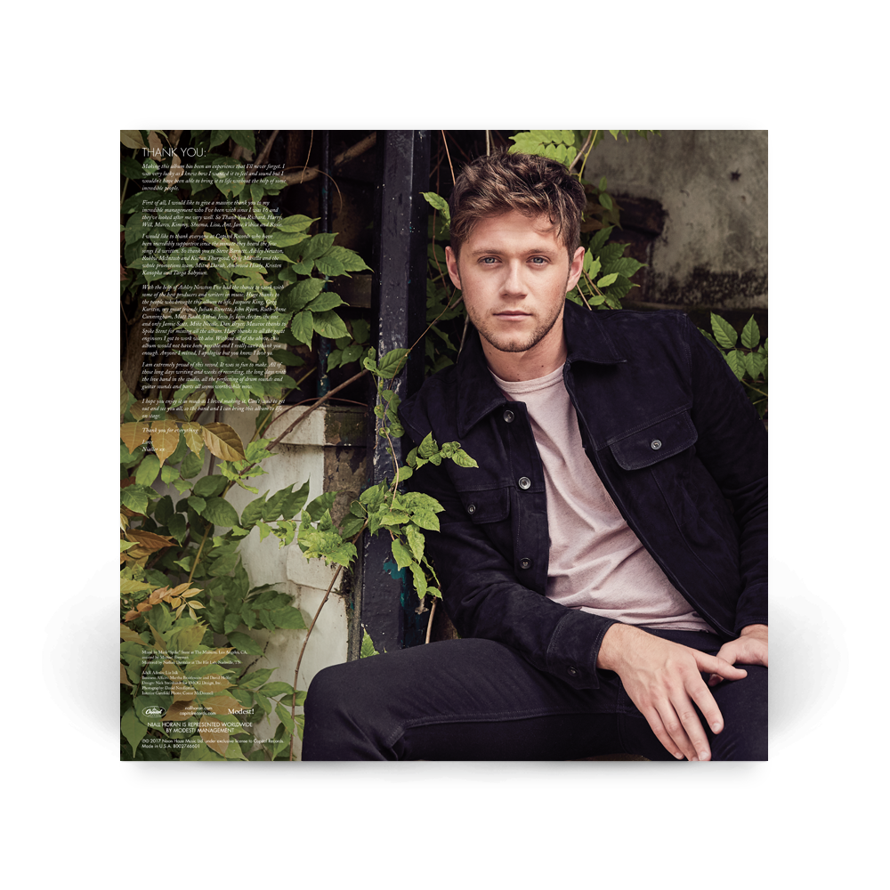Niall Horan - Flicker - Blue-Eyed Swirl Vinyl